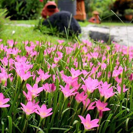 Margo Utomo Eco Resort Kalibaru Zewnętrze zdjęcie