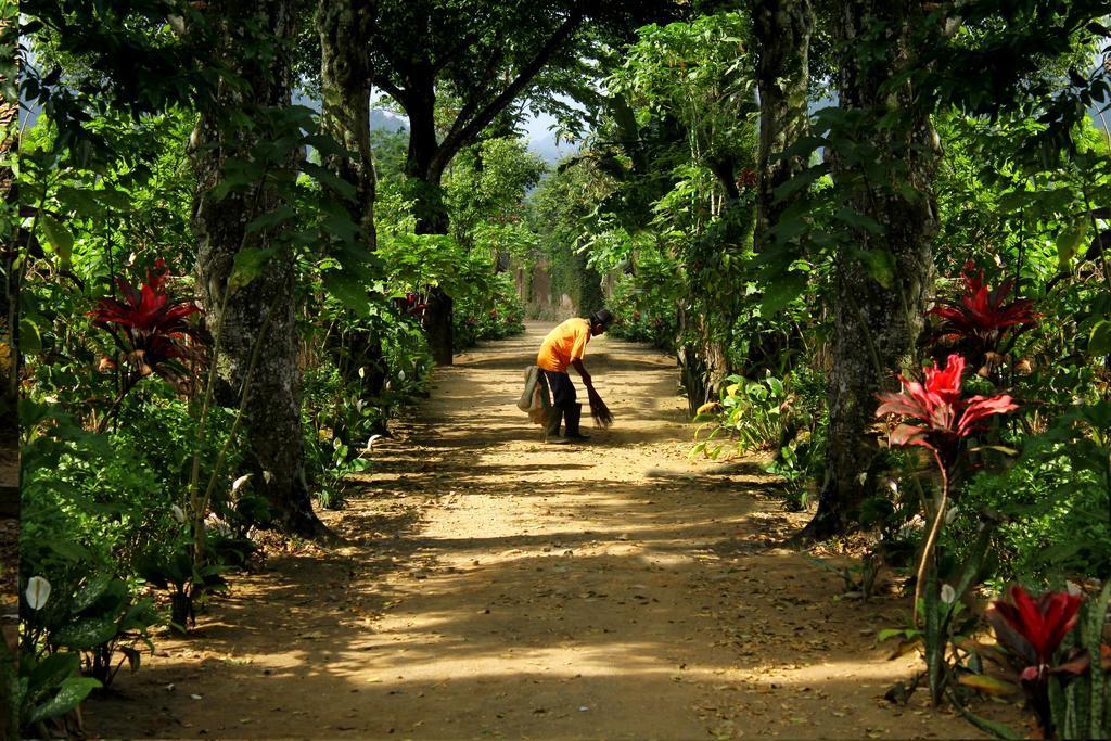 Margo Utomo Eco Resort Kalibaru Zewnętrze zdjęcie