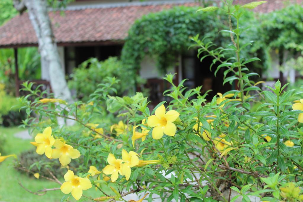 Margo Utomo Eco Resort Kalibaru Zewnętrze zdjęcie
