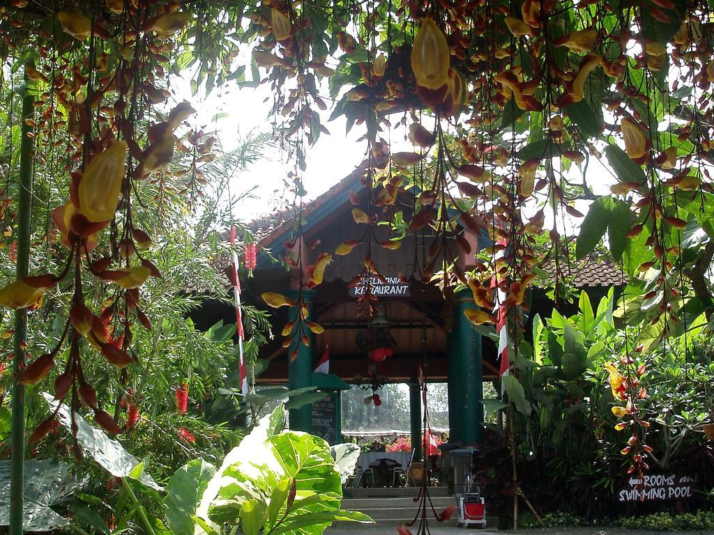 Margo Utomo Eco Resort Kalibaru Zewnętrze zdjęcie