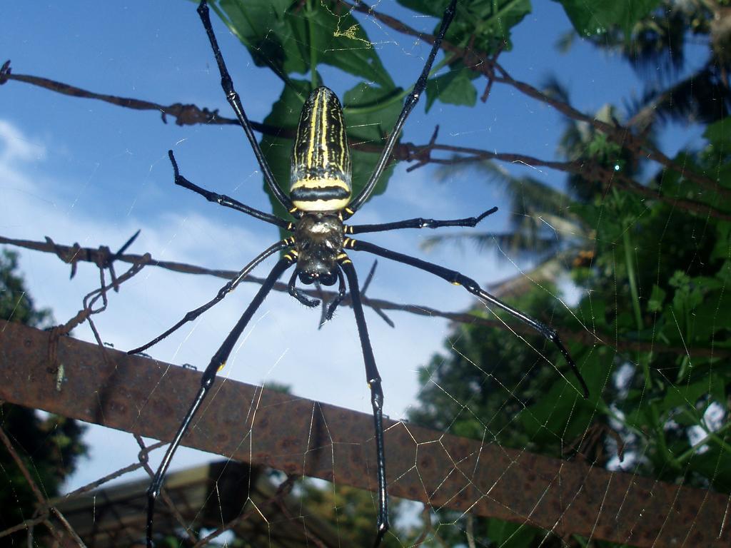 Margo Utomo Eco Resort Kalibaru Zewnętrze zdjęcie